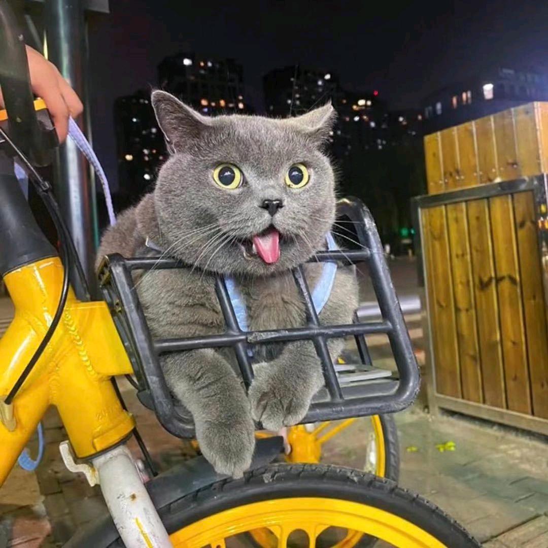 2717
