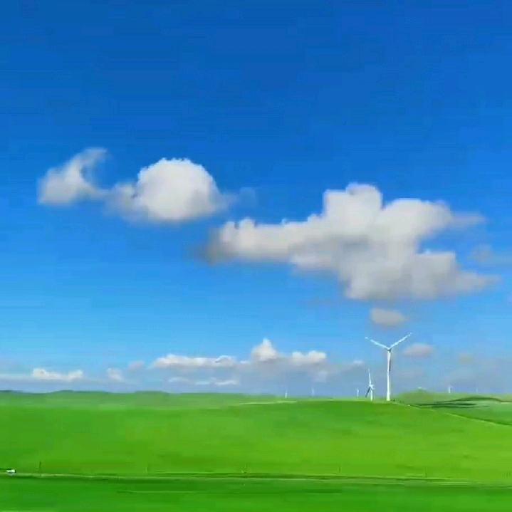 王哥