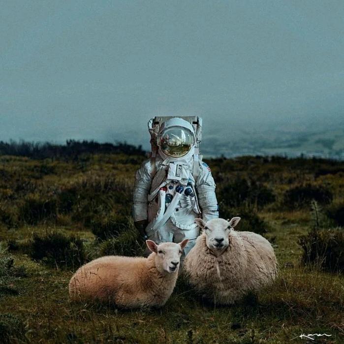 爱放羊的太空人🥕