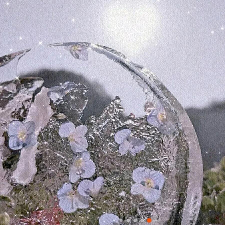 🌸🌺🌺🌸🌺🌺🌸🌺☀☀?