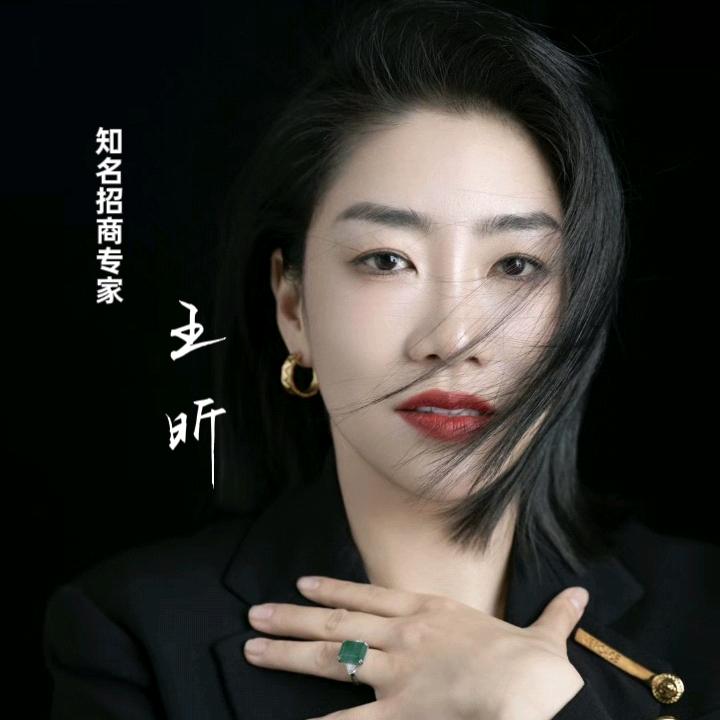 王昕招商课-企业管理咨询