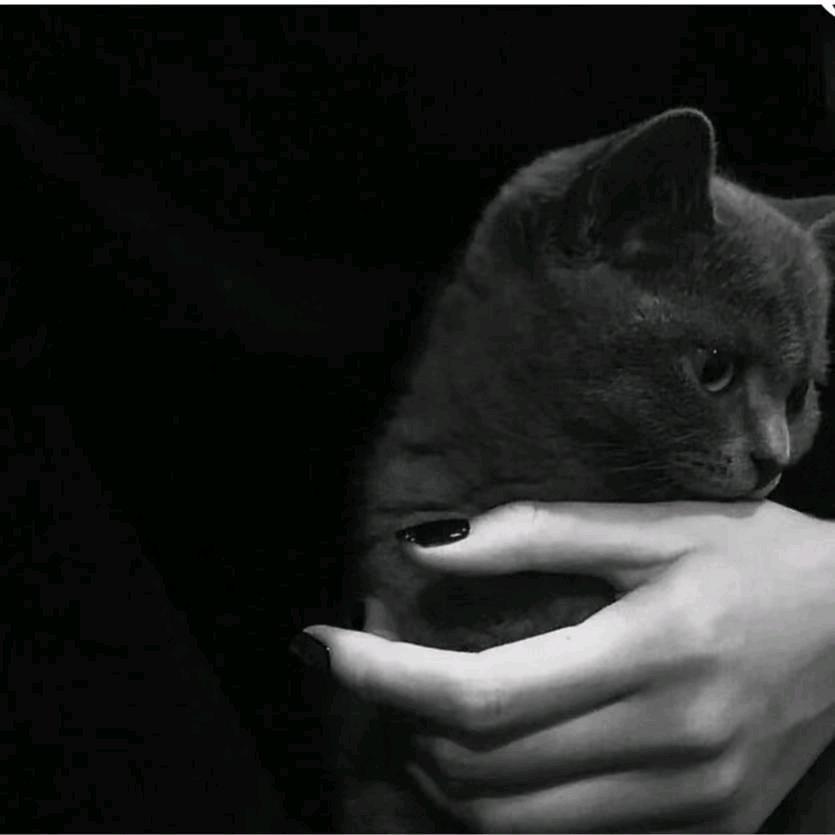 এ᭄无人᭦᭰懂᭄༊