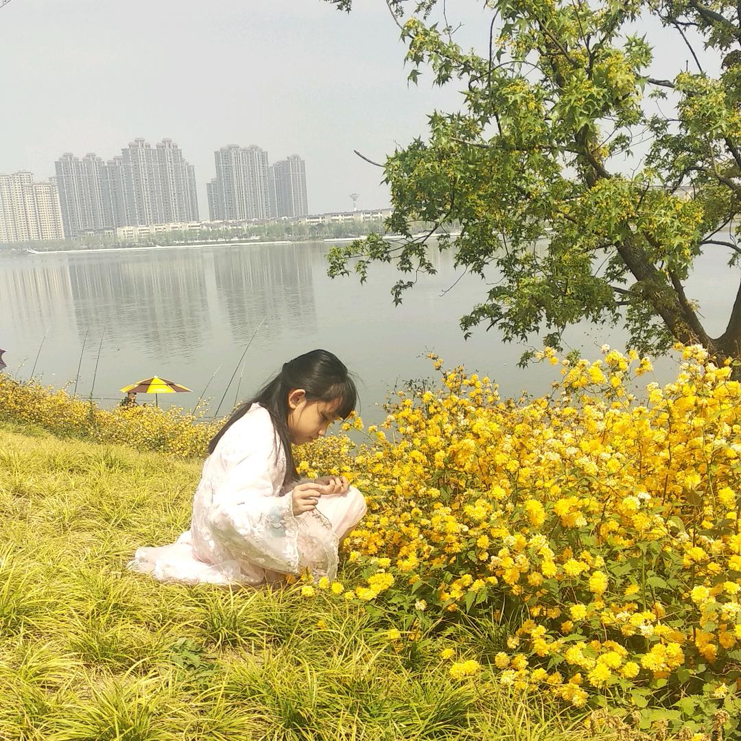 是芳芳吖🍀