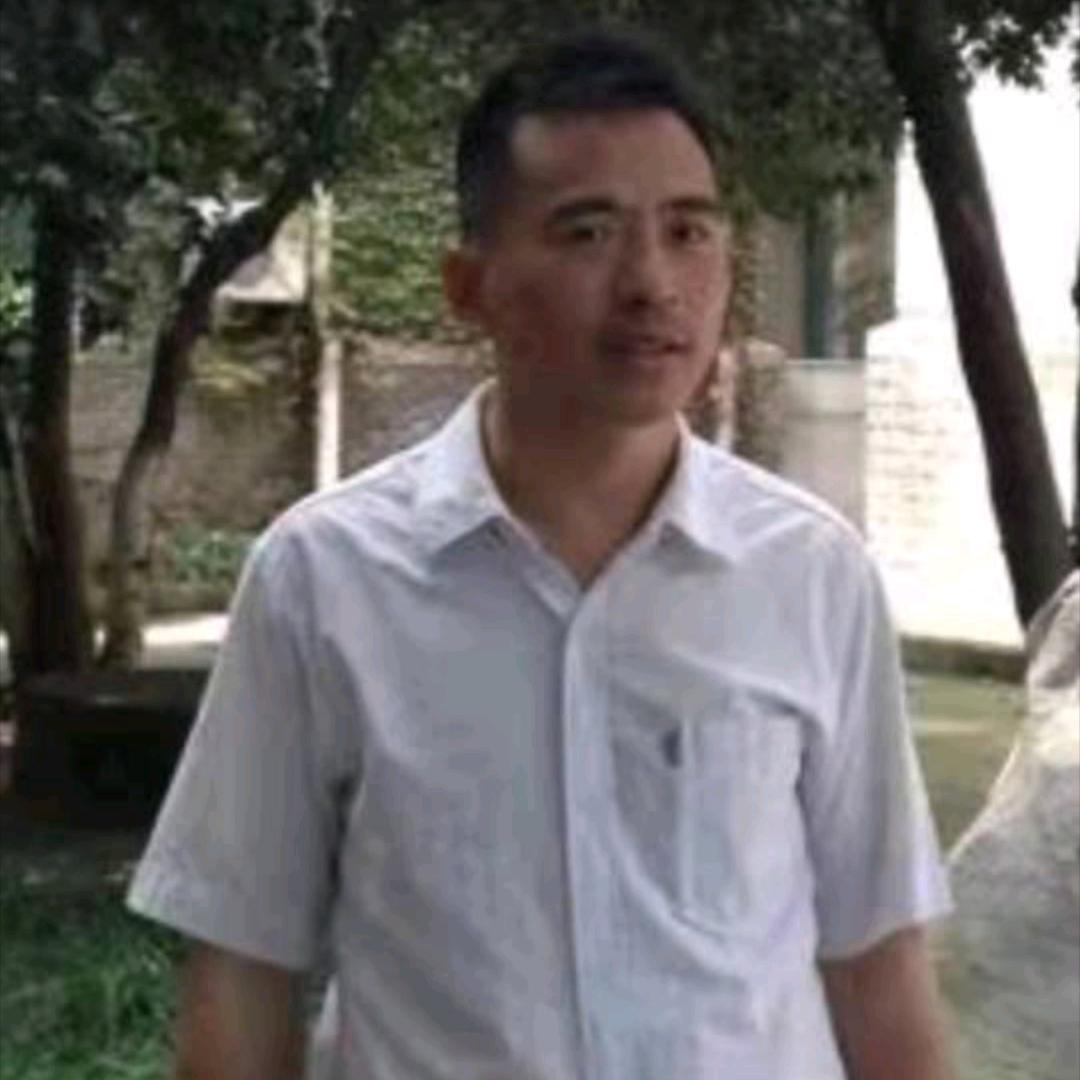 自由飞翔