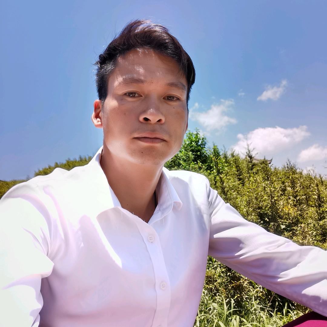 笑看红尘，杨