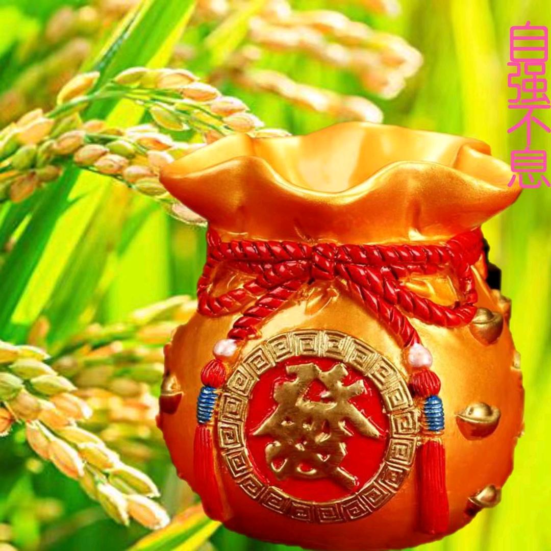暖宝
