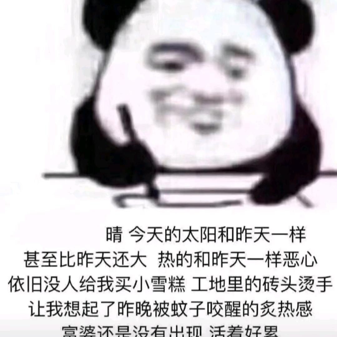 蛋炒饭8