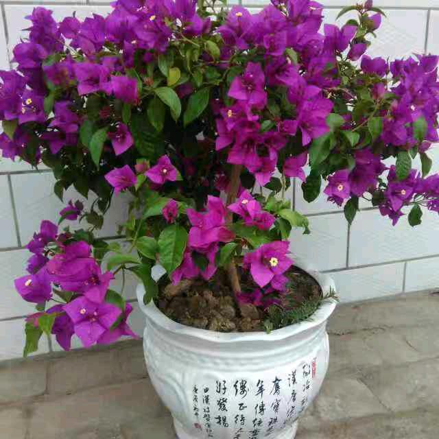 一生平安～