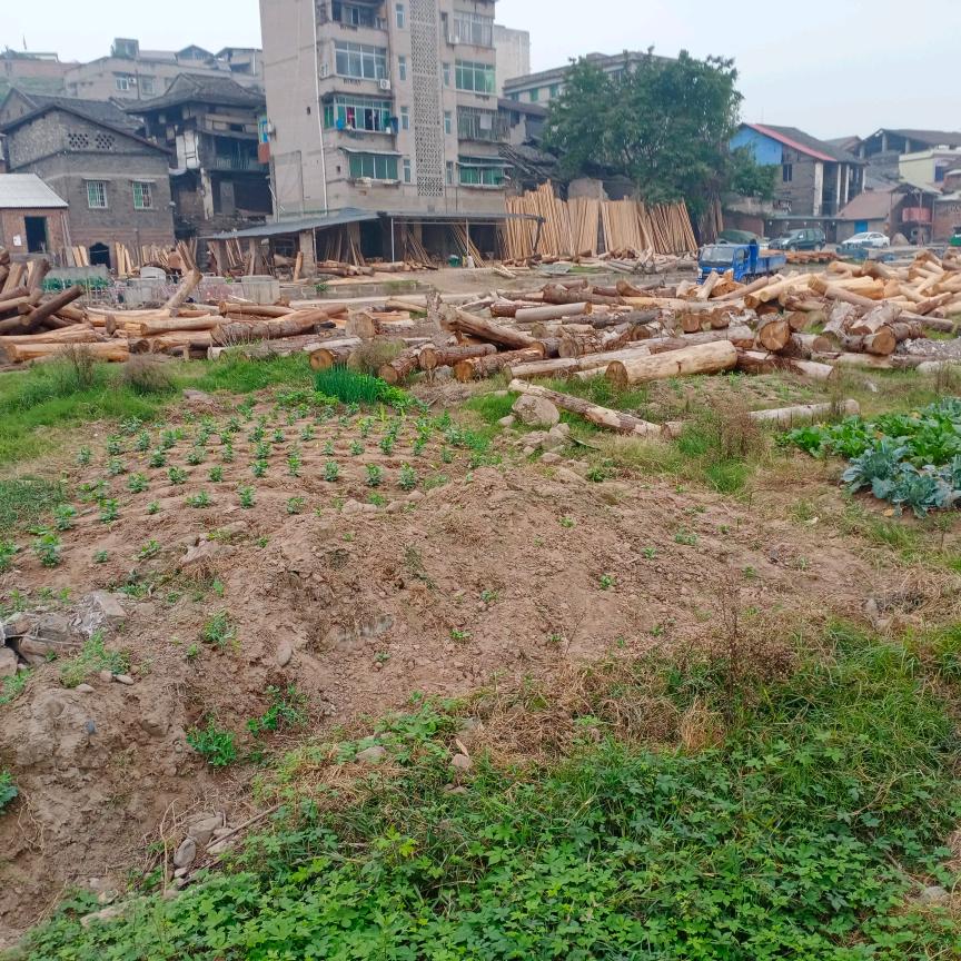 不忘初心，简简单单。