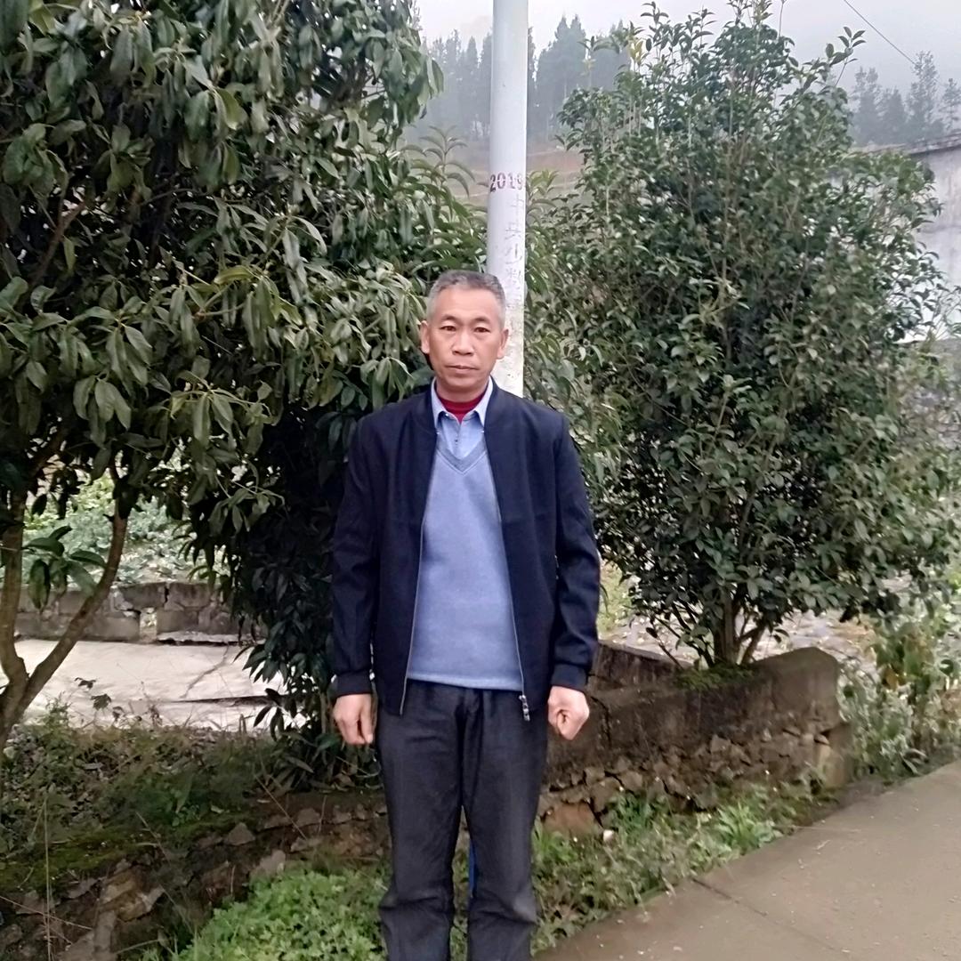 天天奔波