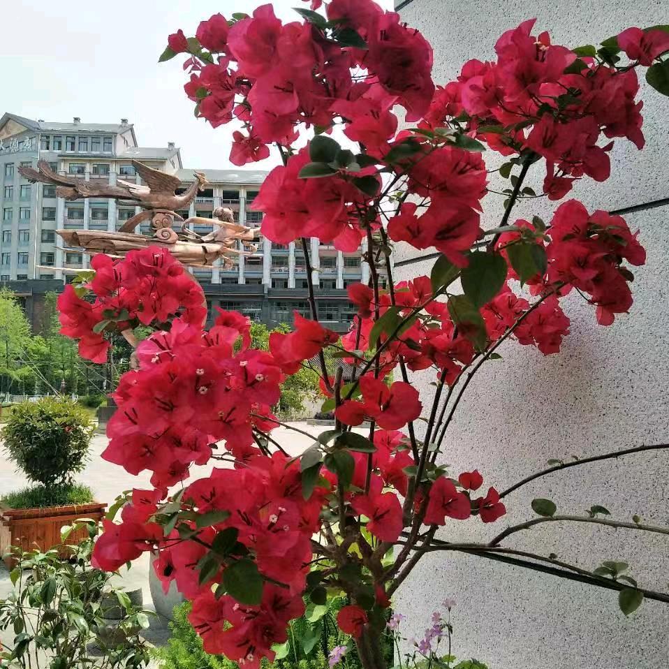心情放宽