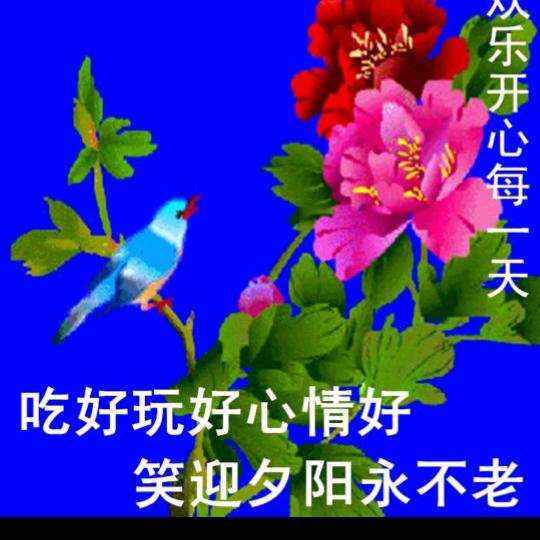 平安每一天