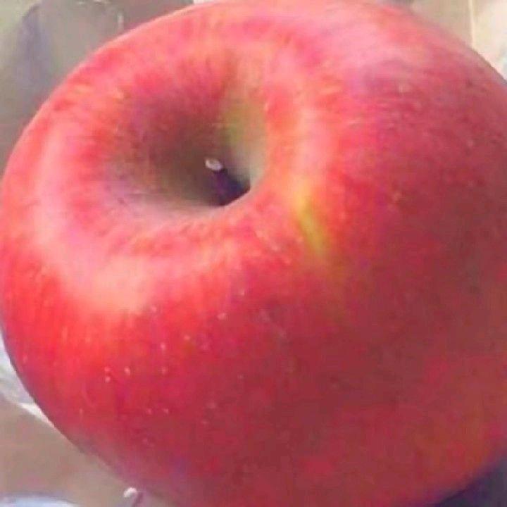 开心大苹狗（最爱James版）