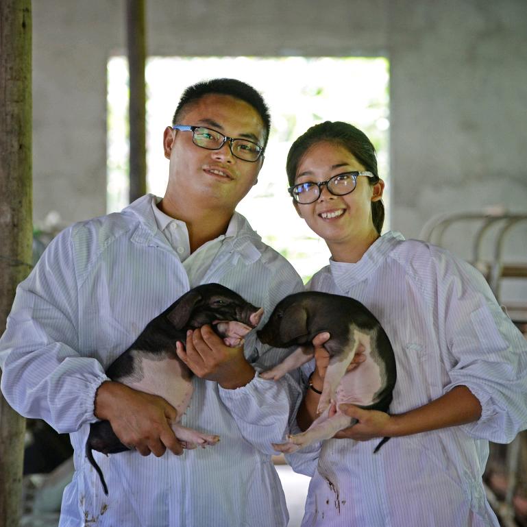 杭猪守护人卢支书