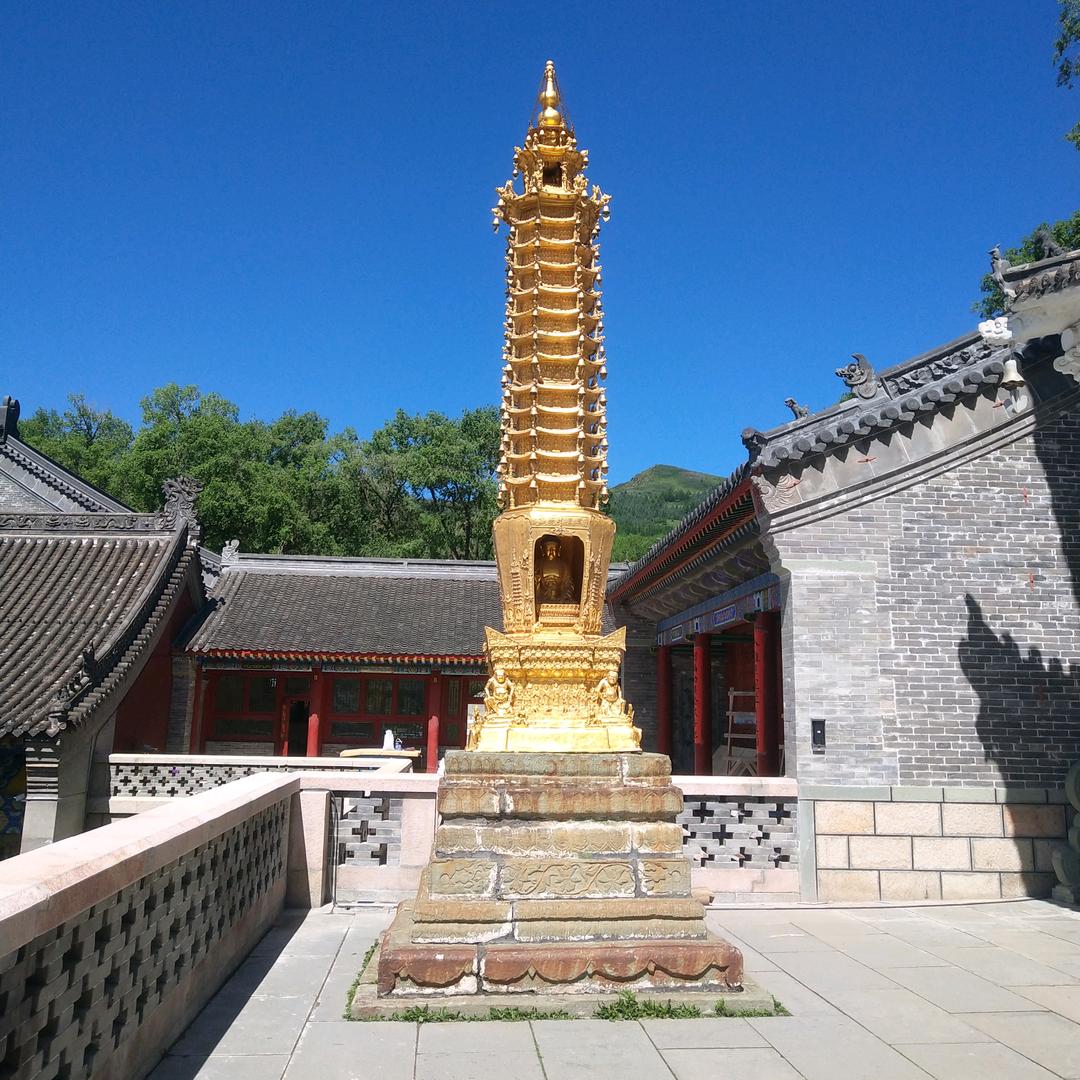 油烟净化器清洗四害消杀