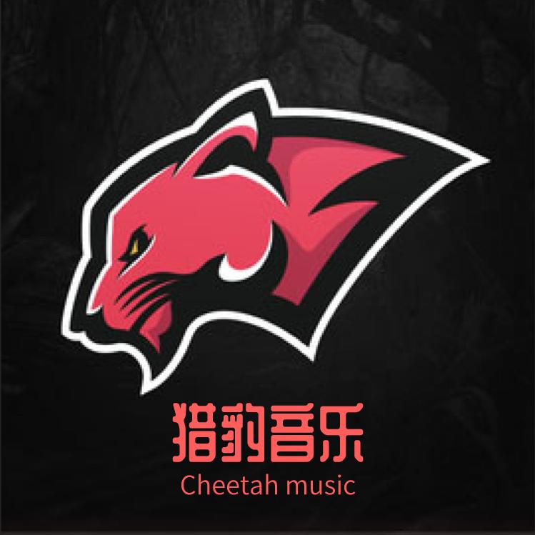 猎豹DJ（车载U盘）