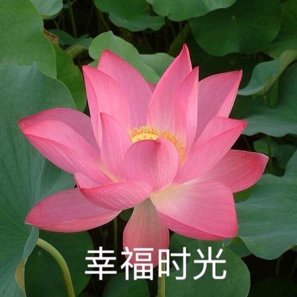 幸福时光.