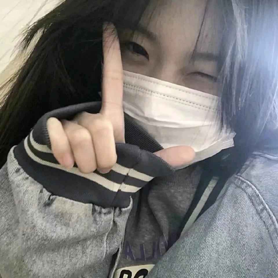 茶杯犬