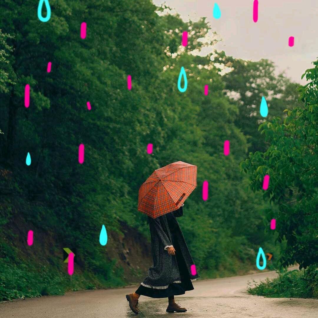 蜻蜓