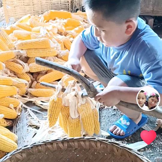 陪读奶奶：鑫宝