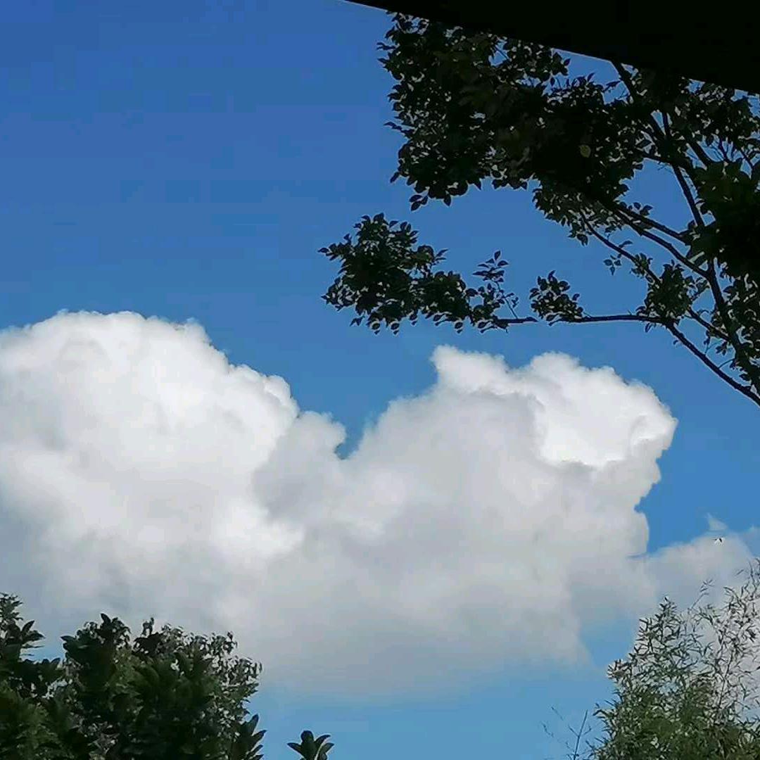 兰天白云