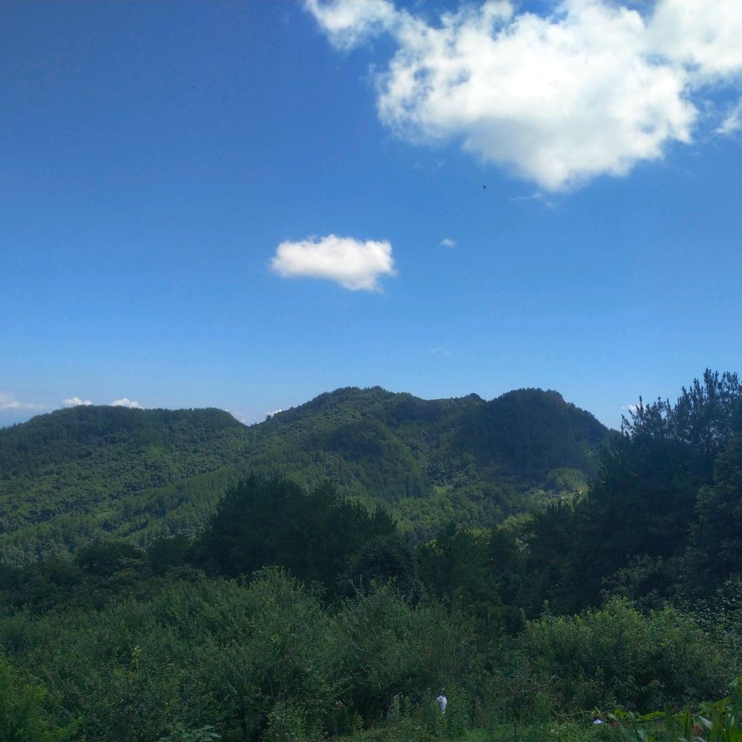 梨山峡农业