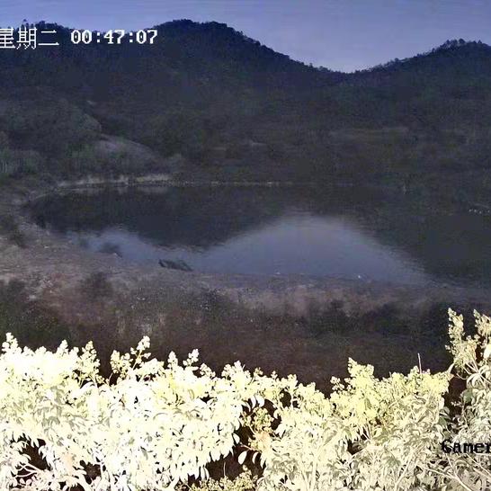 孙岗监控