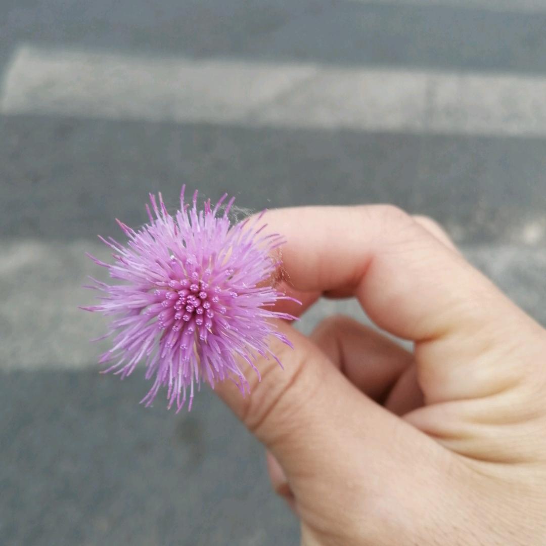 @团山流动厨房