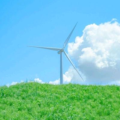 🌹“王”后余生🌹