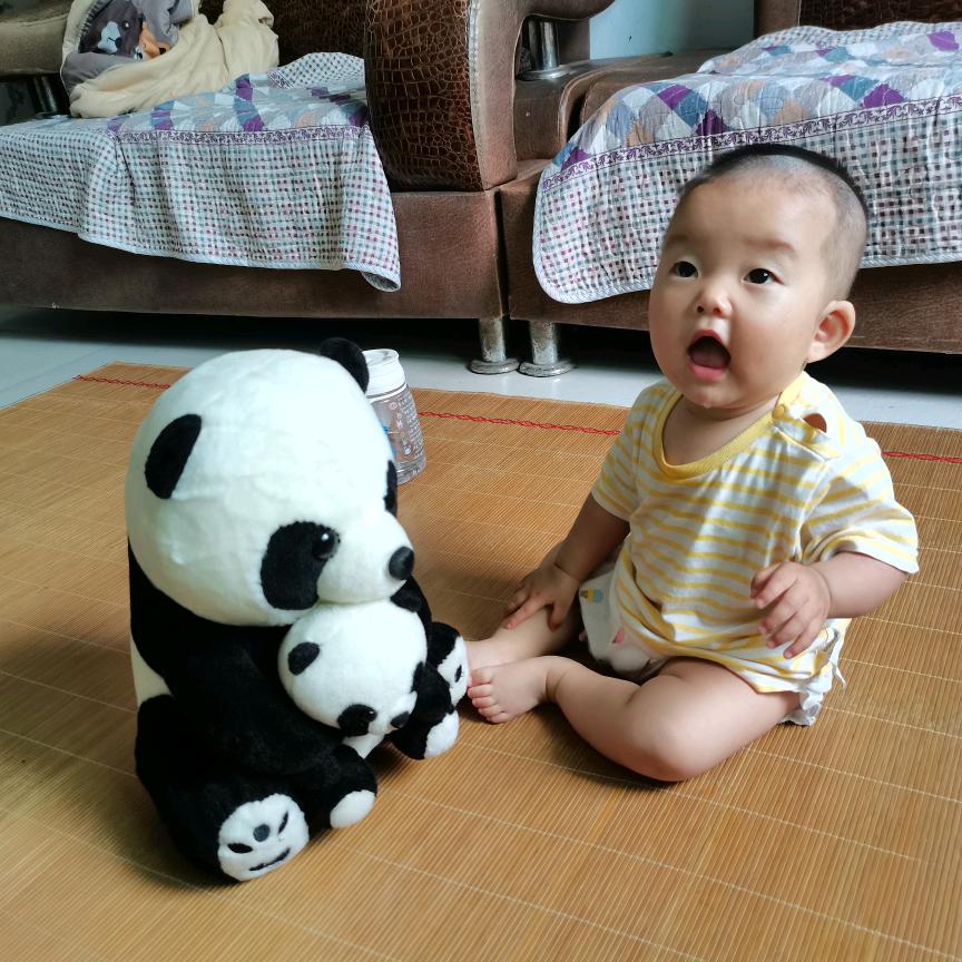 小燕子，穿花衣