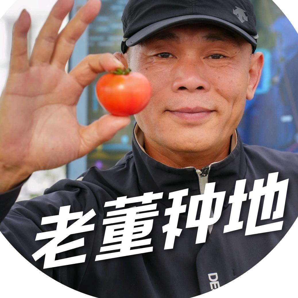 老董种地