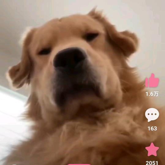 ❤️Kim Yeung 👍