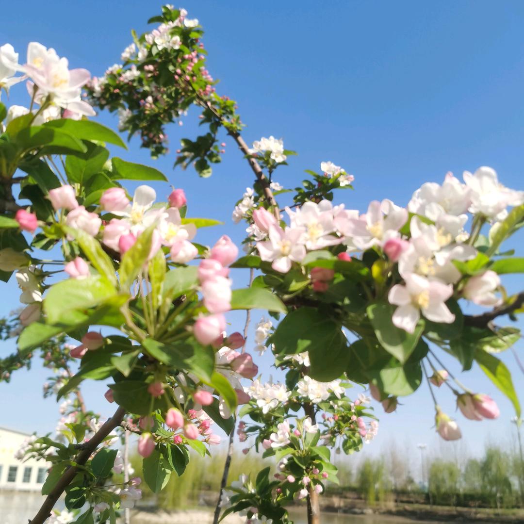 静心堂(✪▽✪)缘聚