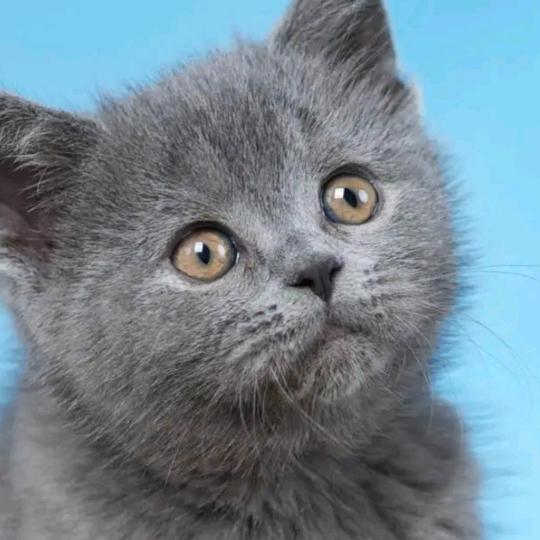 ∝ 衮 我的菇凉不许碰~