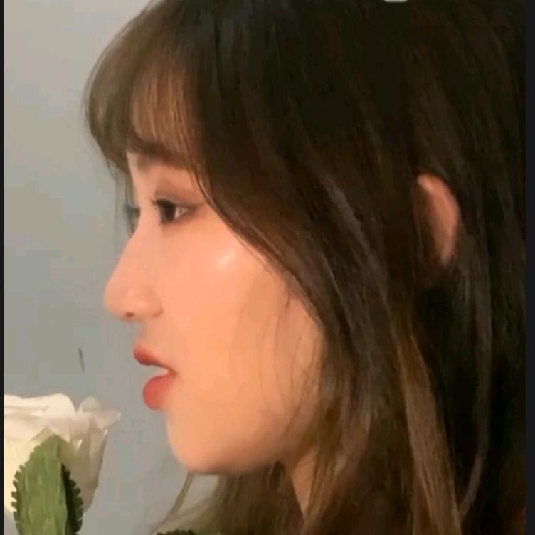 阳光总在风雨后🌤