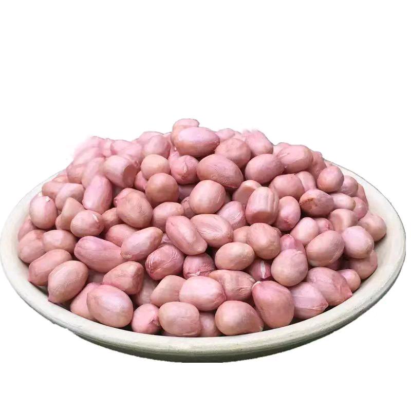 回龙集收花生王汝东