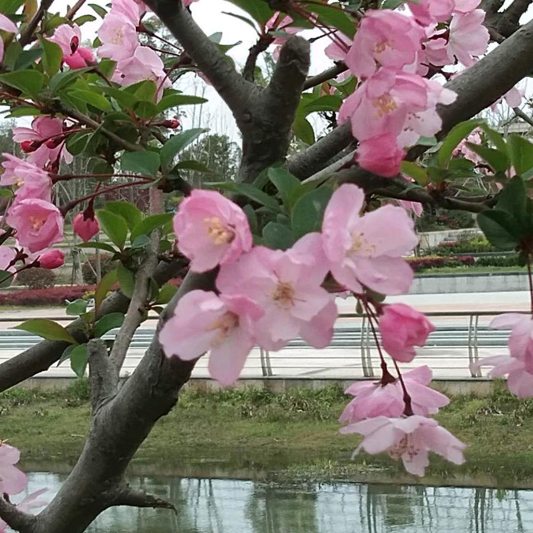 顺其自然积极进取