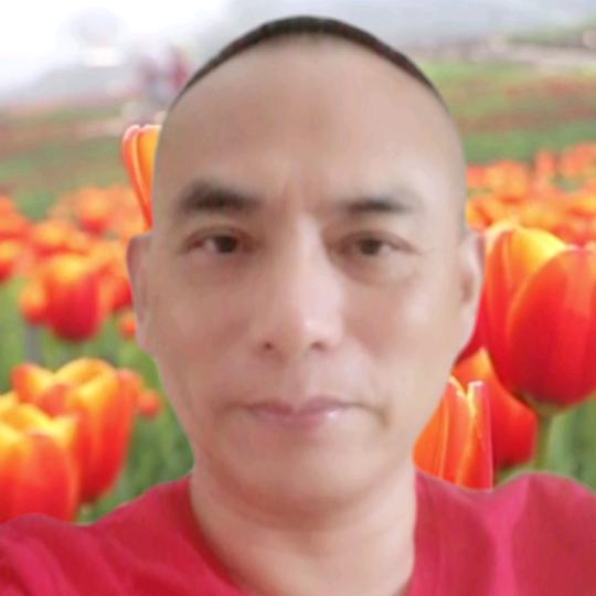 站榜金哥