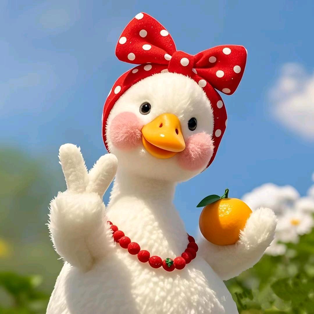 小橘鸭🍊