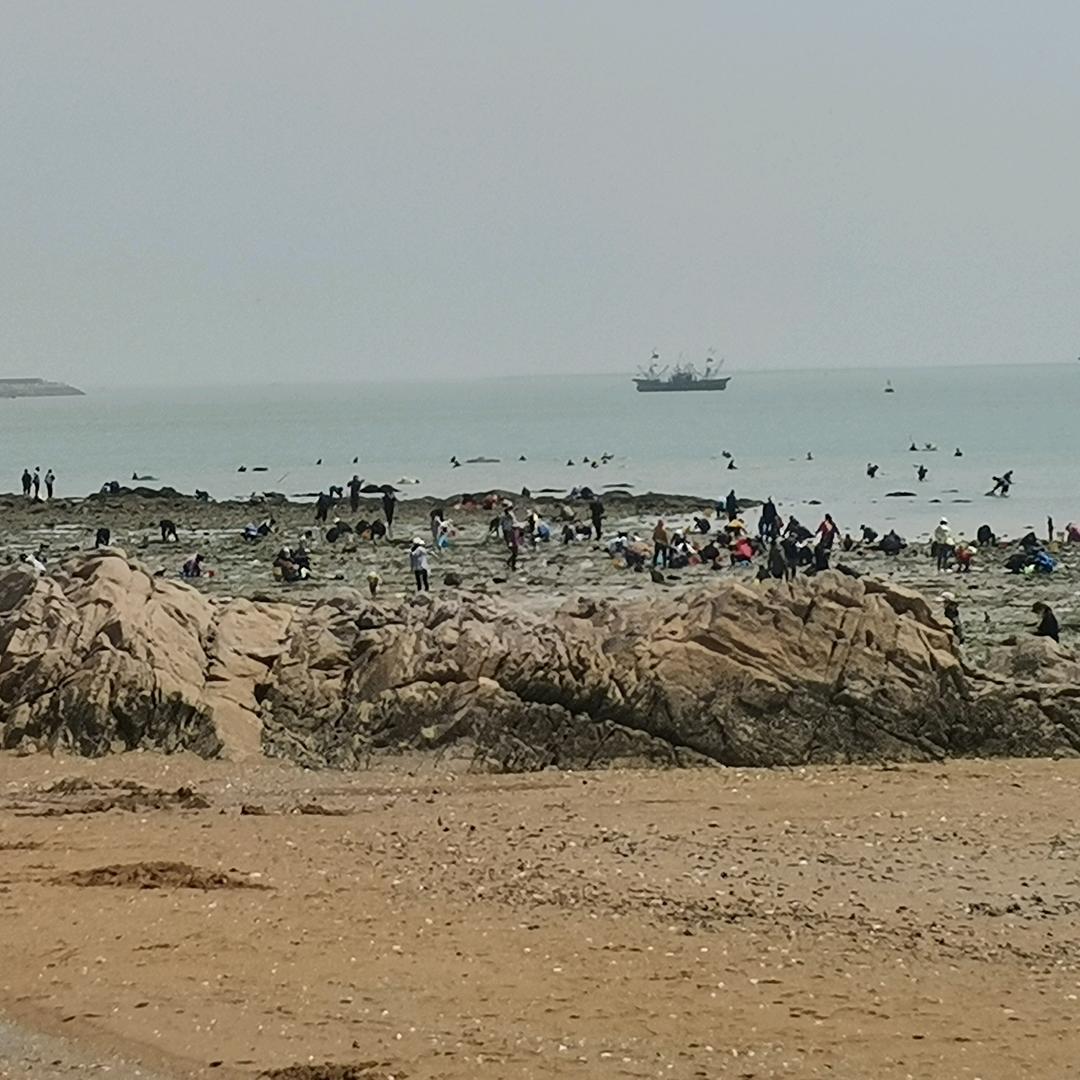 东升水产