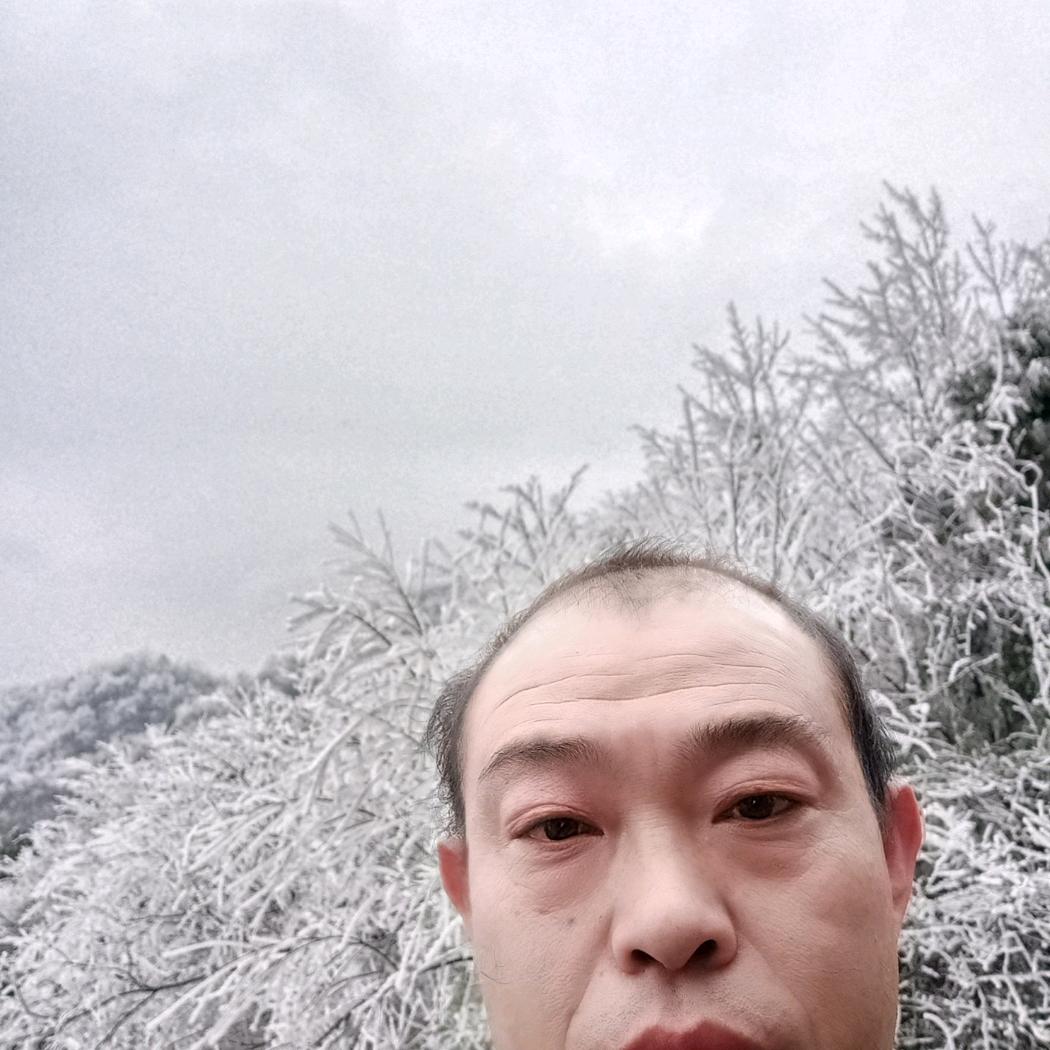 李金兰
