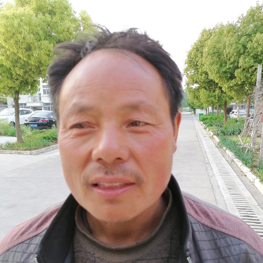 杨定友