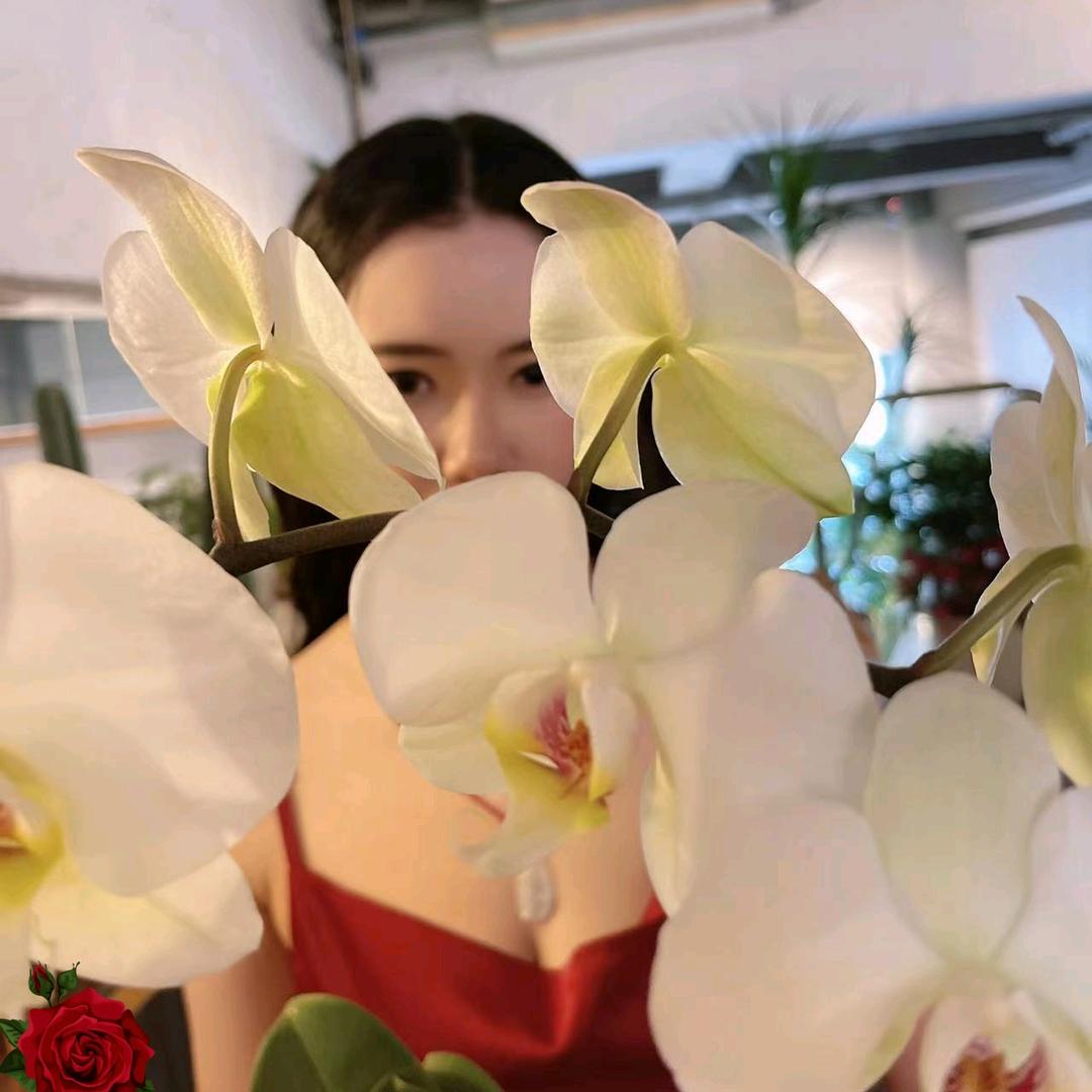 吃货卡戴珊