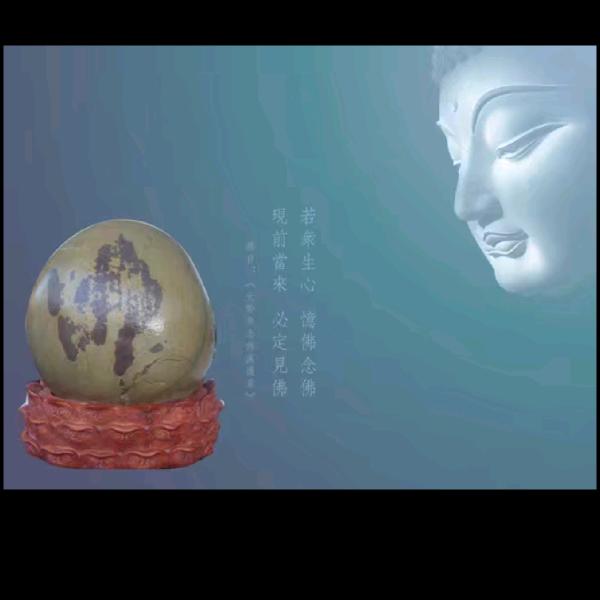 金秋