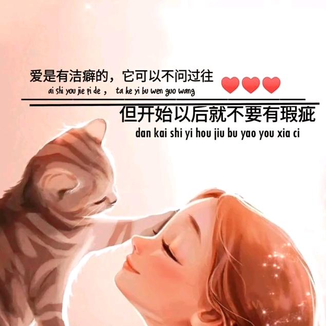 黄豆是只猫