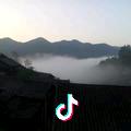农村人鸭