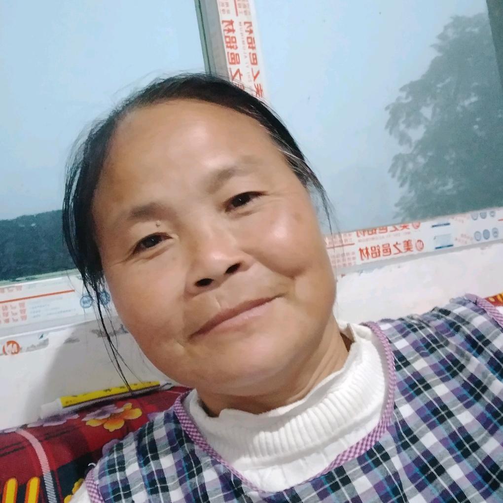 高茂仙