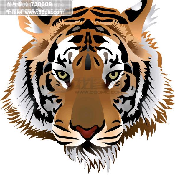 虎虎🐯🐯🐯🐯