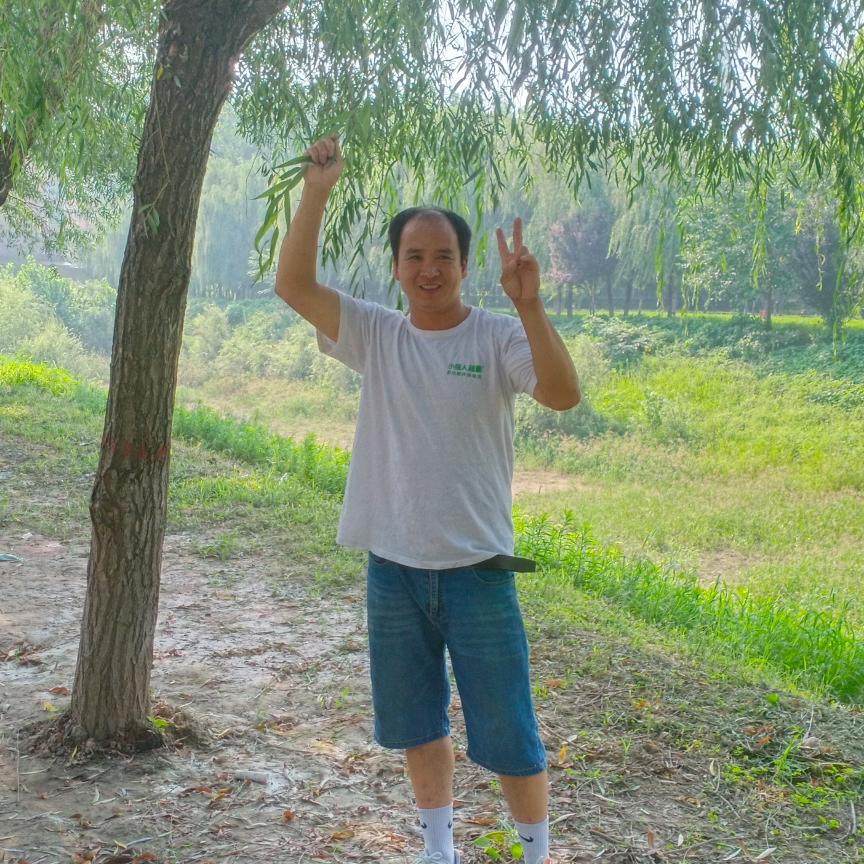 志锋