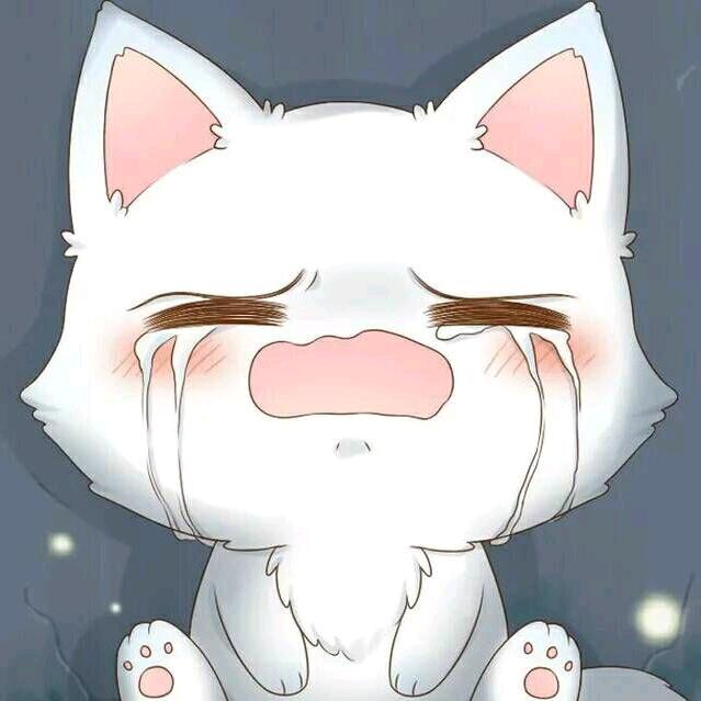 小凉生